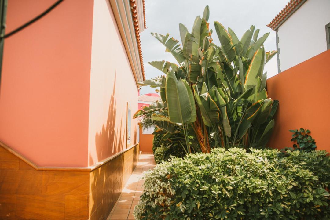 Villa Morada Sonneland Con Piscina Privada Climatizada 마스팔로마스 외부 사진
